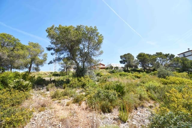 Terrain à Bâtir à vendre à Canyelles - 45 500 € (Ref: 9799393)