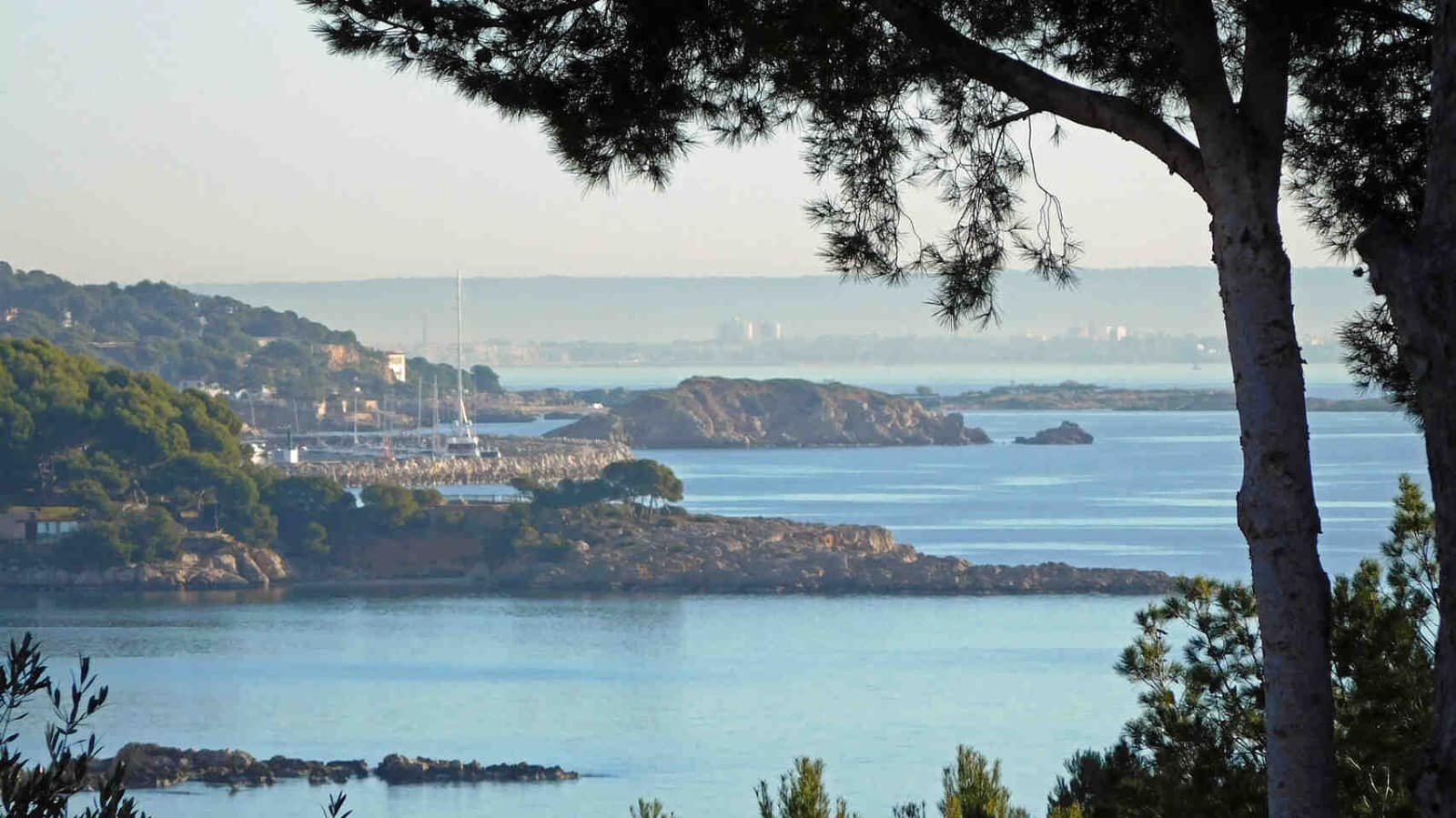 Ubebygd land til salgs i Palmanova - € 870 000 (Ref: 5484817)