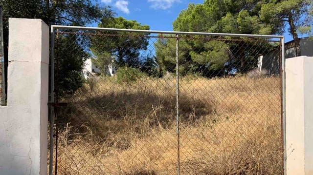 Undeveloped Land for sale in Palmanova, Calvià - € 870,000 (Ref: 5484817)