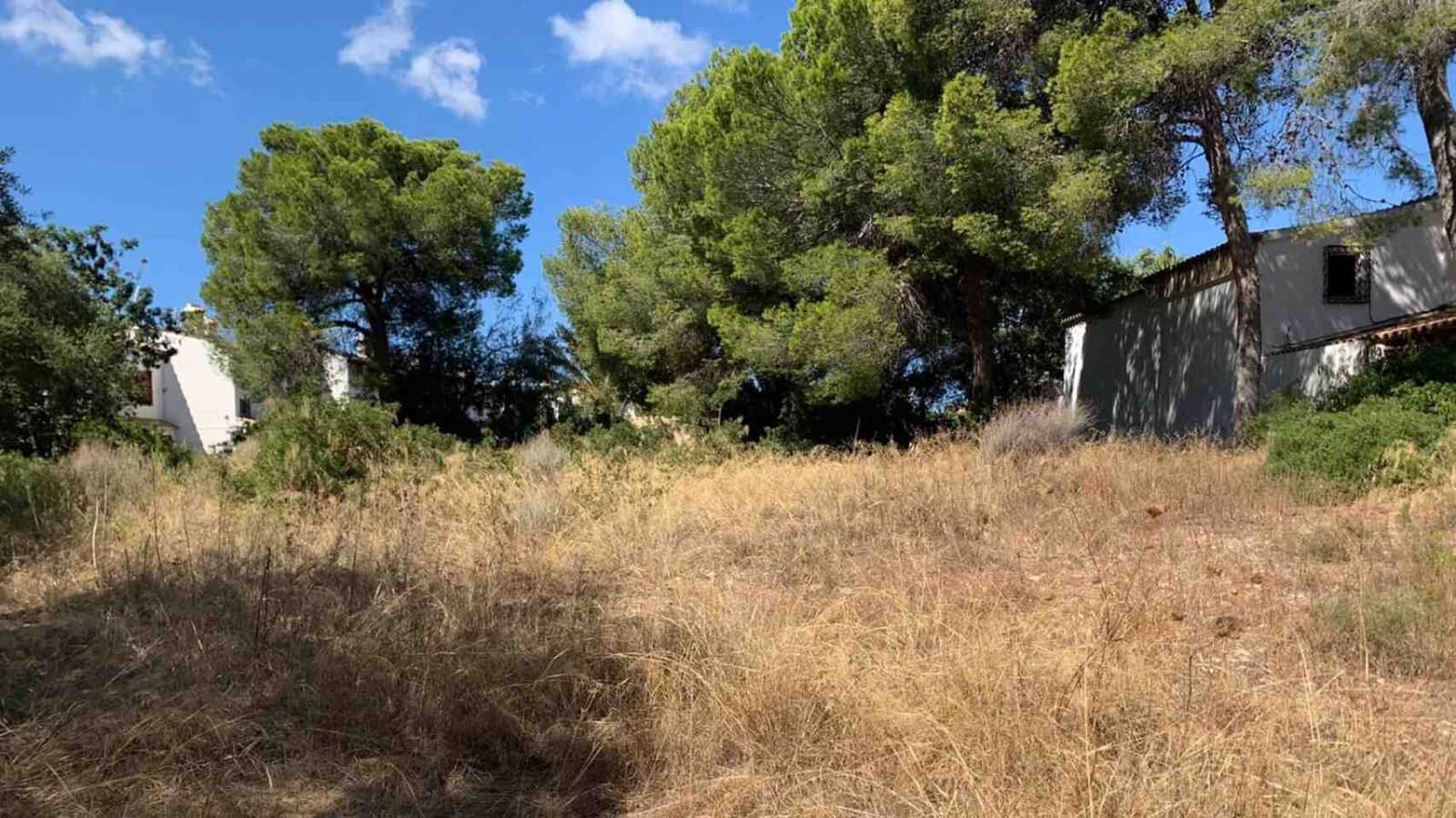 Ubebygd land til salgs i Palmanova - € 870 000 (Ref: 5484817)