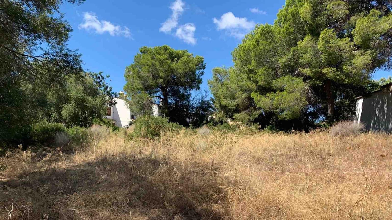 Ubebygd land til salgs i Palmanova - € 870 000 (Ref: 5484817)