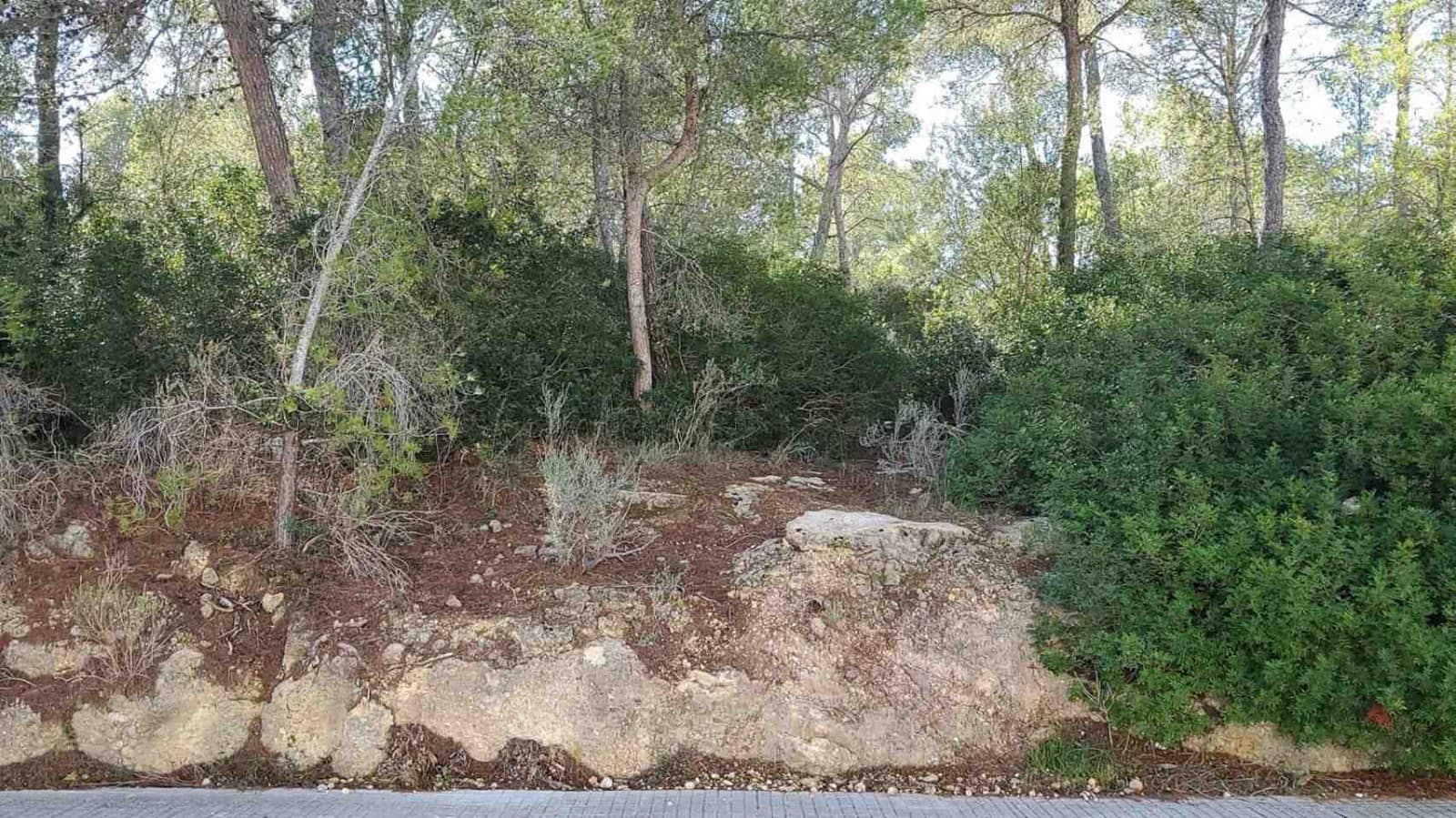 Grunde uden byggetilladelser til salg i Cala Vinyes / Cala Vinyas / Cala Vinas - € 1.000.000 (Ref: 5716403)