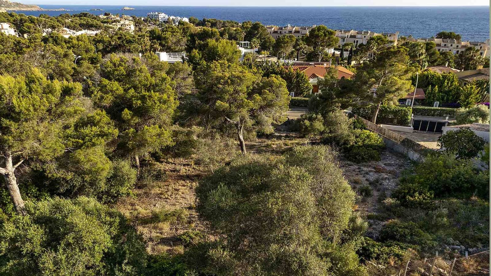 Grunde uden byggetilladelser til salg i Santa Ponsa - € 1.990.000 (Ref: 8332663)