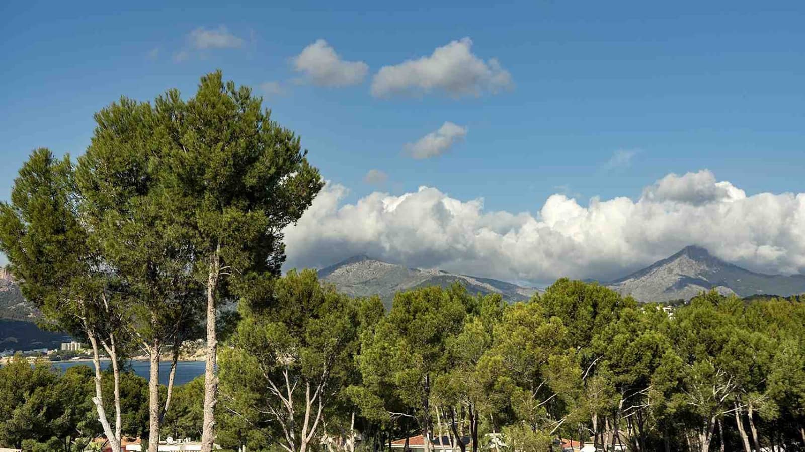 5 camera da letto Villa in vendita in Santa Ponsa con piscina garage - 3.500.000 € (Rif: 8635861)