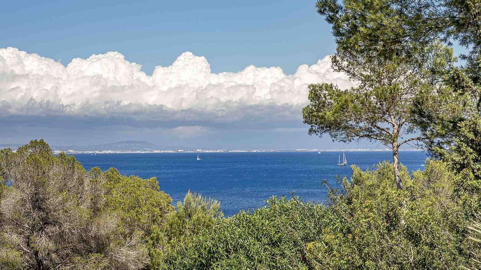 5 soverom Villa til salgs i Cala Vinyes / Cala Vinyas / Cala Vinas med svømmebasseng garasje - € 1 550 000 (Ref: 8977652)