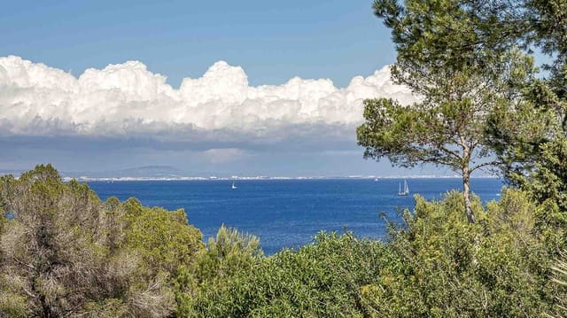 5 soveværelse Villa til salg i Cala Vinyes / Cala Vinyas / Cala Viñas, Calvià med swimmingpool garage - € 1.550.000 (Ref: 8977652)