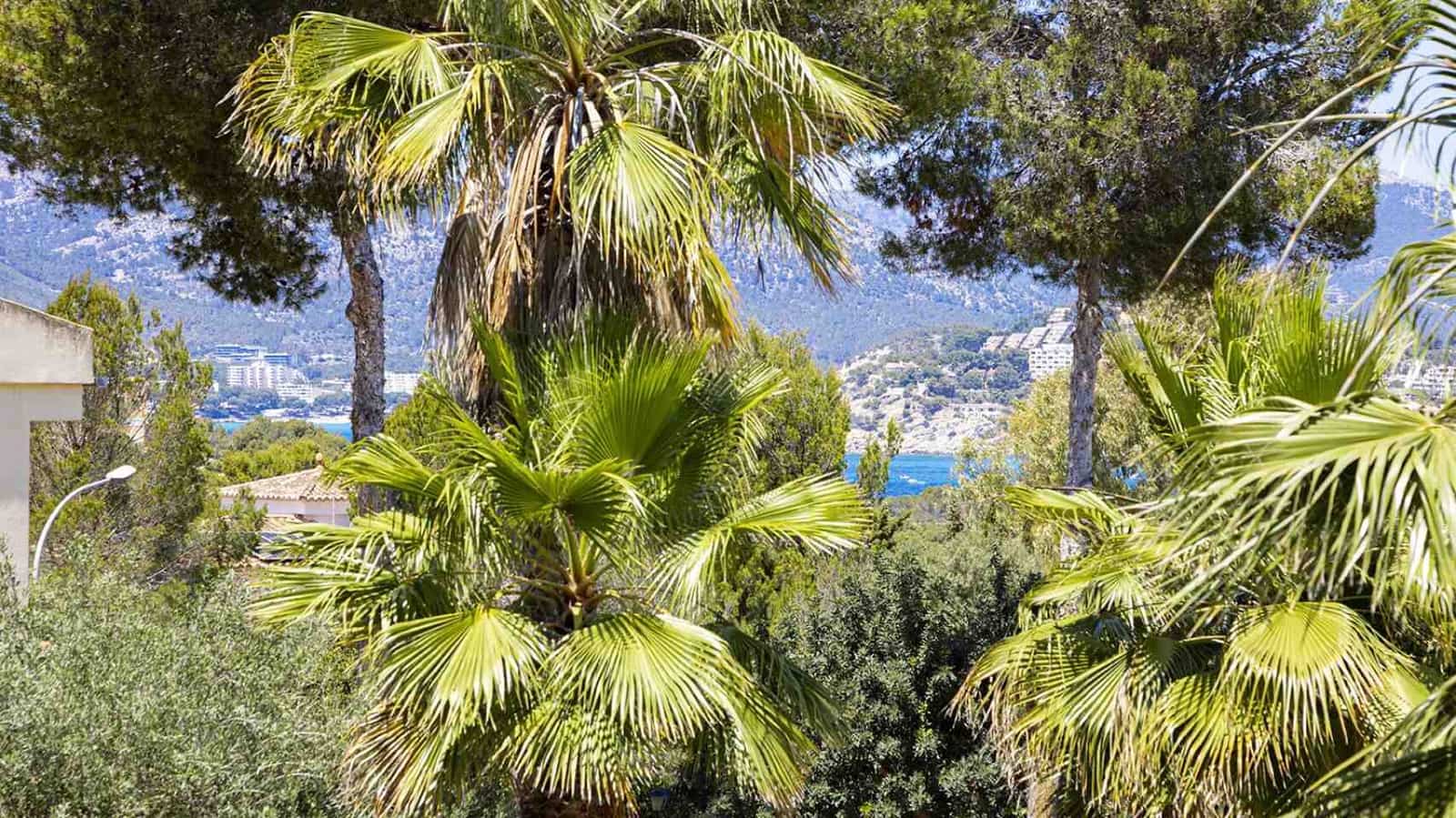 3 soverom Villa til salgs i Santa Ponsa med svømmebasseng - € 2 200 000 (Ref: 8998126)