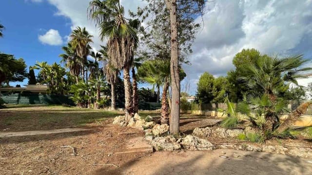 Undeveloped Land for sale in Santa Ponsa, Calvià - € 1,850,000 (Ref: 9004521)