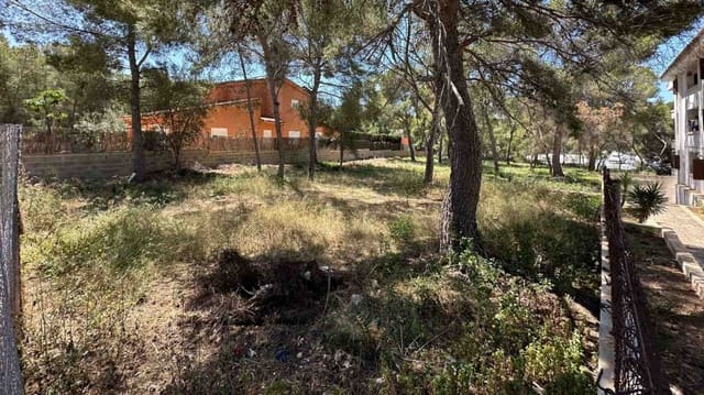 Ubebygd land til salgs i Santa Ponsa, Calvià - € 1 060 500 (Ref: 9035869)