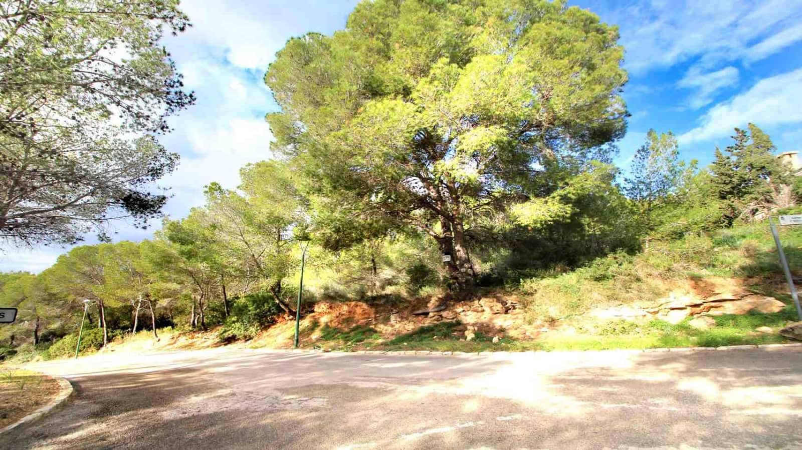 Undeveloped Land for sale in Cala Vinyes / Cala Vinyas / Cala Vinas - € 895,000 (Ref: 9085924)