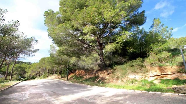 Undeveloped Land for sale in Cala Vinyes / Cala Vinyas / Cala Viñas, Calvià - € 895,000 (Ref: 9085924)