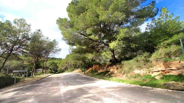 Undeveloped Land for sale in Cala Vinyes / Cala Vinyas / Cala Viñas, Calvià - € 895,000 (Ref: 9085924)