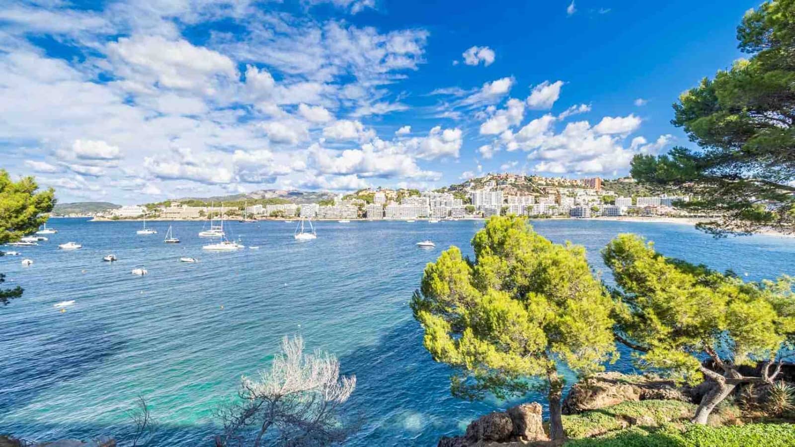 3 bedroom Apartment for sale in Santa Ponsa - € 550,000 (Ref: 9506765)