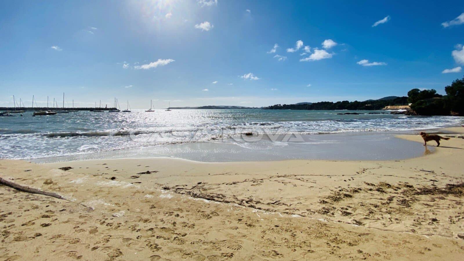 1 quarto Penthouse para venda em Portals Nous com piscina - 695 000 € (Ref: 9793709)