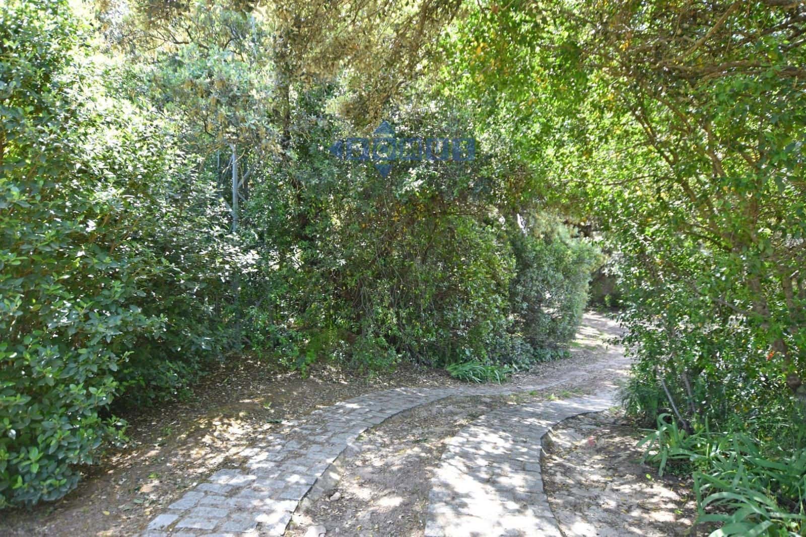 4 camera da letto Villa in vendita in Ronda con piscina garage - 450.000 € (Rif: 10029811)
