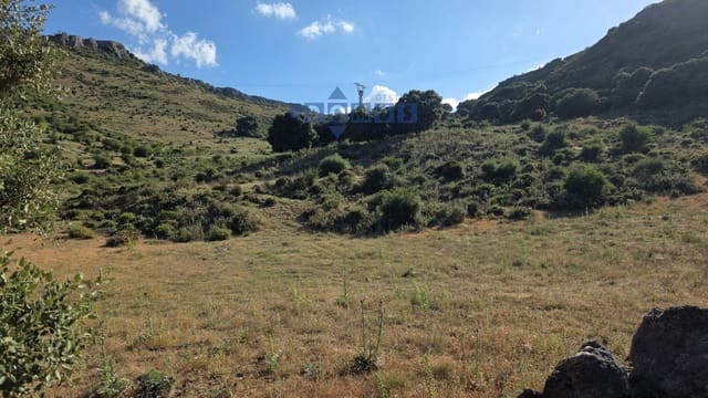 Grond te koop in Ronda - € 420.000 (Ref: 10158312)