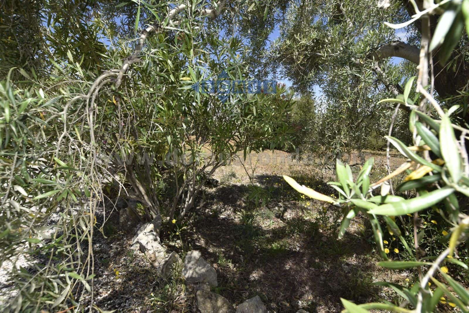 Chalet de 1 habitación en Ronda en venta con piscina garaje - 260.000 € (Ref: 10179598)