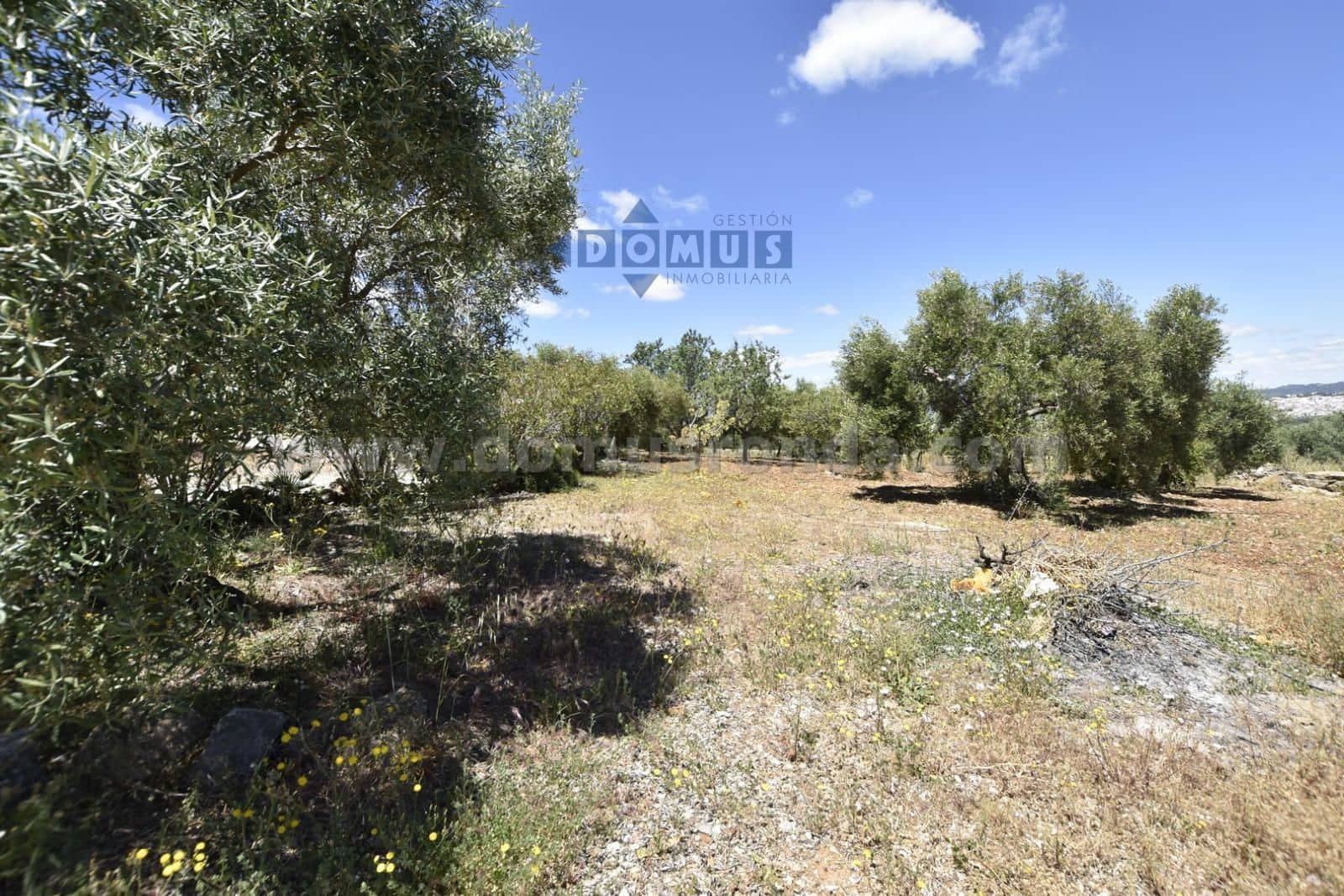 Chalet de 1 habitación en Ronda en venta con piscina garaje - 260.000 € (Ref: 10179598)
