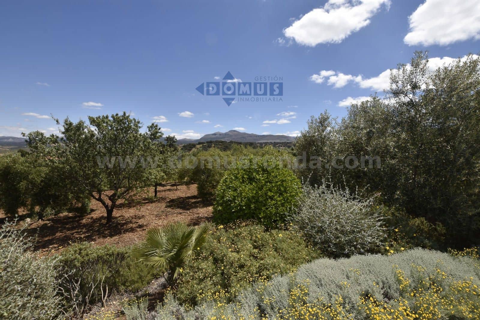Chalet de 1 habitación en Ronda en venta con piscina garaje - 260.000 € (Ref: 10179598)