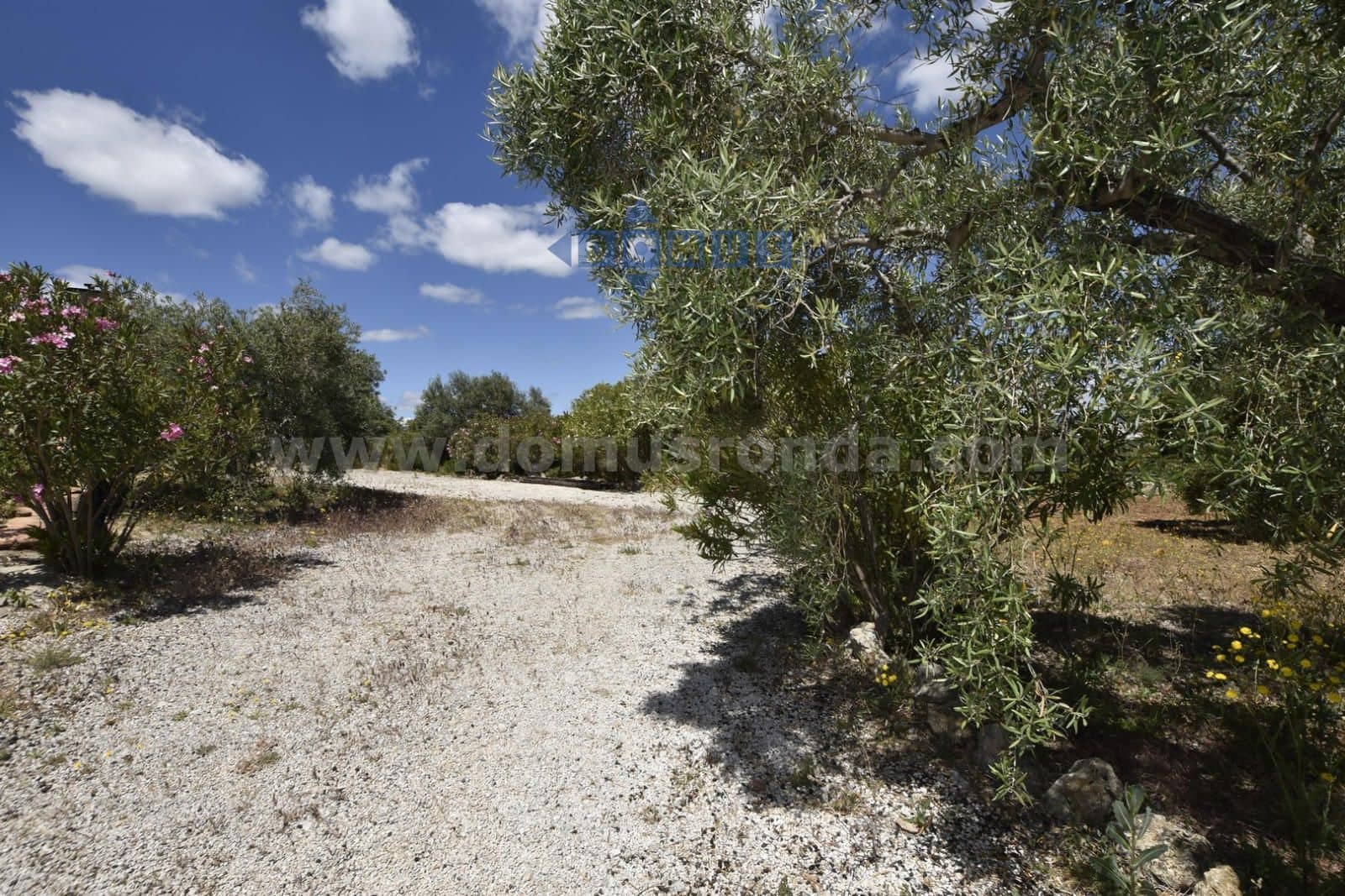 Chalet de 1 habitación en Ronda en venta con piscina garaje - 260.000 € (Ref: 10179598)