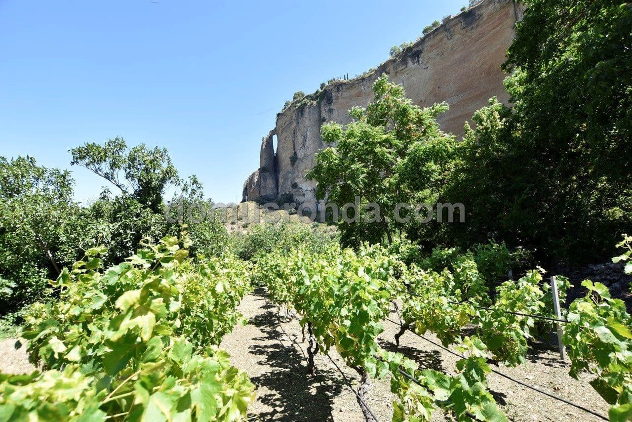 4 camera da letto Villa in vendita in Ronda con piscina garage - 1.200.000 € (Rif: 5649848)