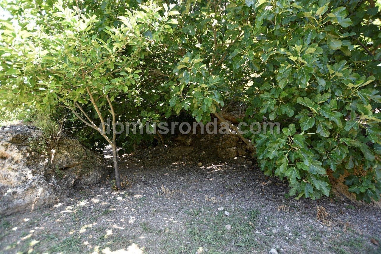 4 camera da letto Villa in vendita in Ronda con piscina garage - 1.200.000 € (Rif: 5649848)