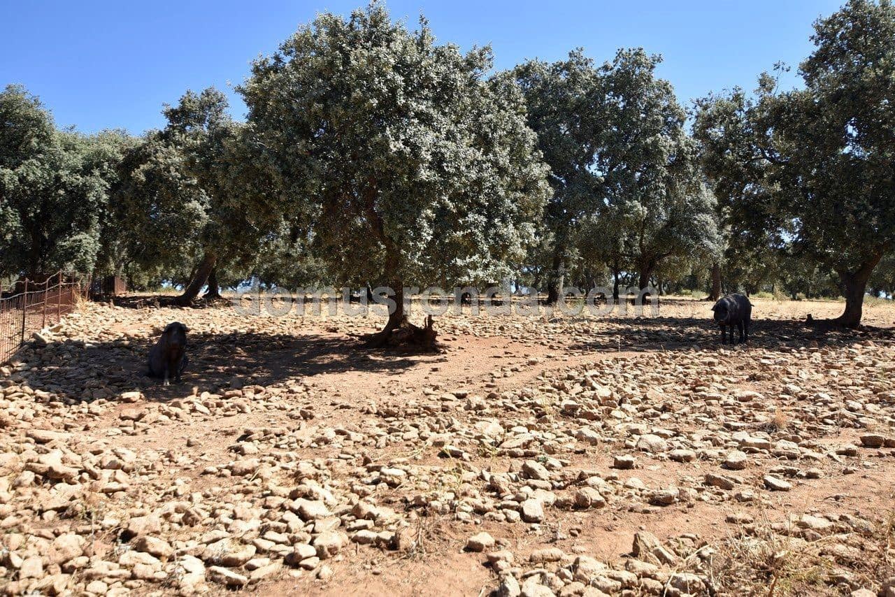 Finca/Casa Rural de 4 habitaciones en Ronda en venta con piscina garaje - 830.000 € (Ref: 6249113)