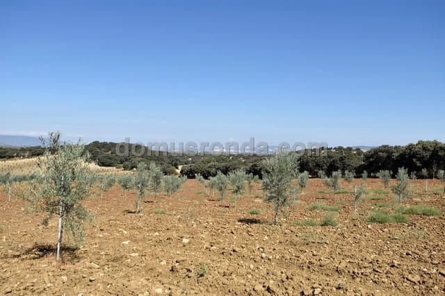 Finca/Casa Rural de 4 habitaciones en Ronda en venta con piscina garaje - 830.000 € (Ref: 6249113)