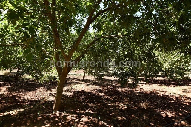 Finca/Casa Rural de 4 habitaciones en Ronda en venta con piscina garaje - 830.000 € (Ref: 6249113)