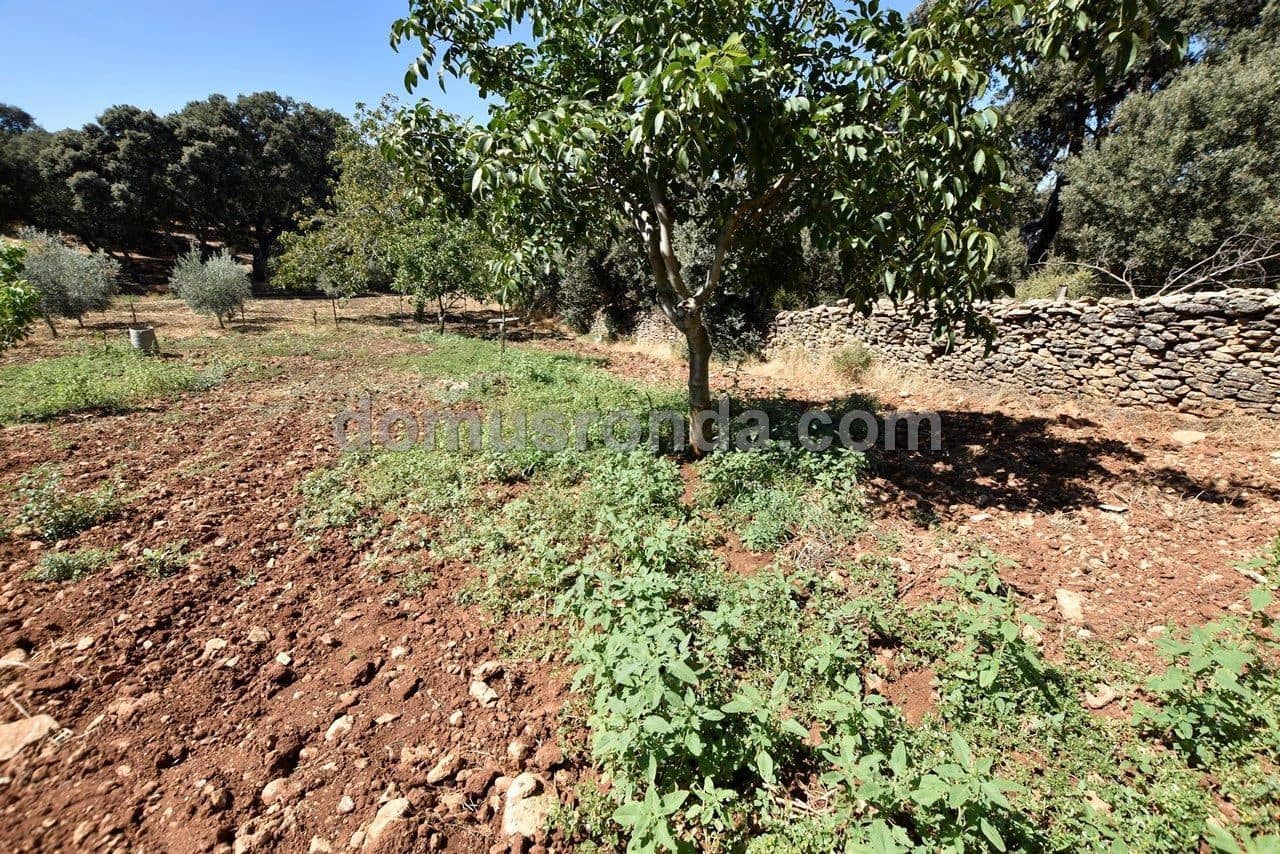 Finca/Casa Rural de 4 habitaciones en Ronda en venta con piscina garaje - 830.000 € (Ref: 6249113)