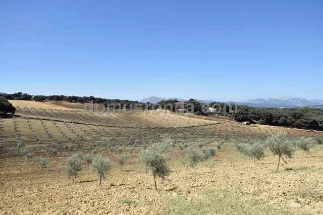 Finca/Casa Rural de 4 habitaciones en Ronda en venta con piscina garaje - 830.000 € (Ref: 6249113)