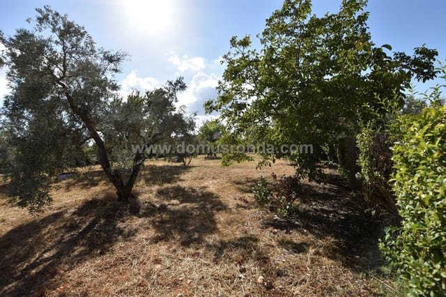 5 quarto Moradia para venda em Ronda com piscina - 450 000 € (Ref: 6249124)