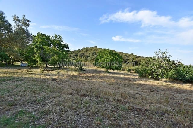 Finca/Landhuis te koop in Ronda met zwembad - € 350.000 (Ref: 6624131)