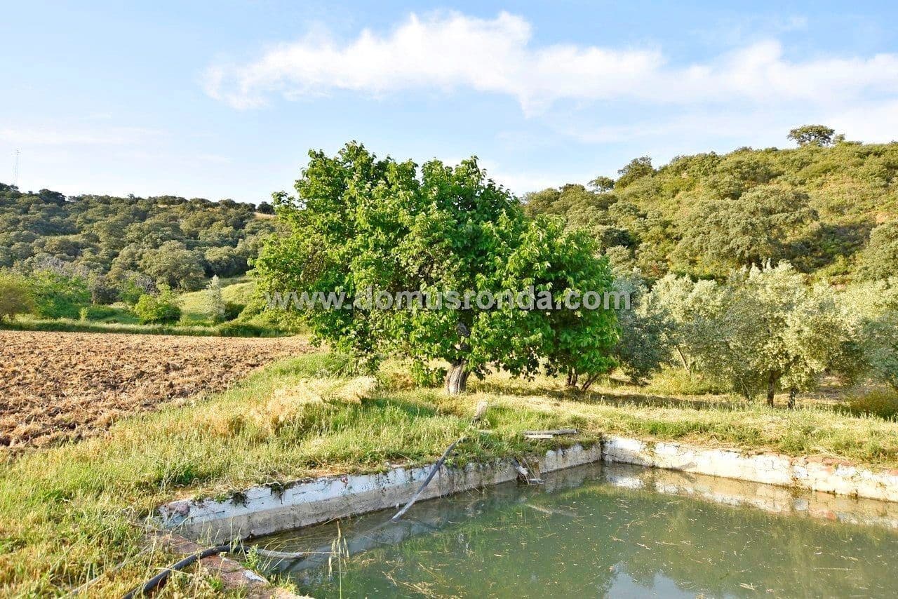 Finca/Landhuis te koop in Ronda met zwembad - € 350.000 (Ref: 6624131)