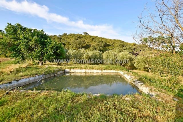 Finca/Landhuis te koop in Ronda met zwembad - € 350.000 (Ref: 6624131)