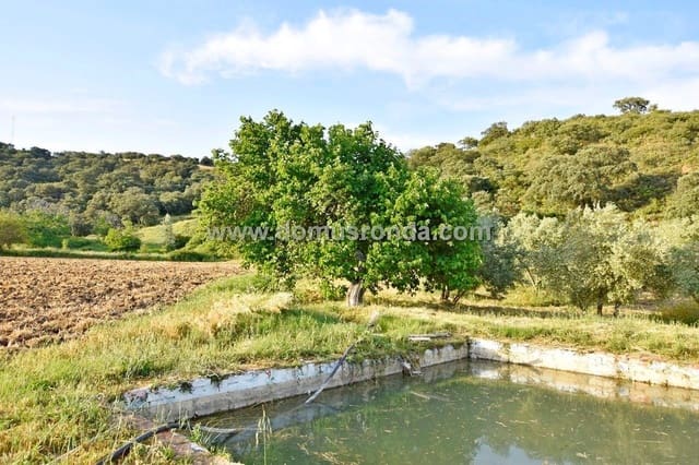 Finca/Landhuis te koop in Ronda met zwembad - € 350.000 (Ref: 6624131)