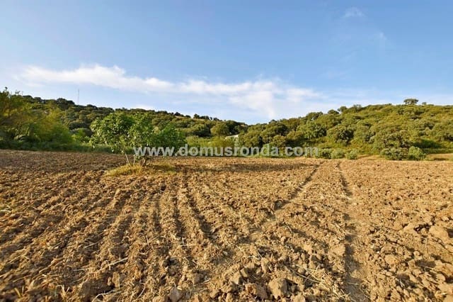 Finca/Landhuis te koop in Ronda met zwembad - € 350.000 (Ref: 6624131)