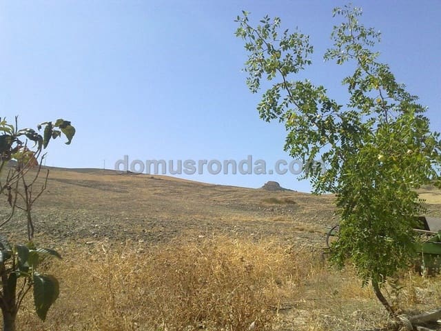 Villa til salg i Ronda - € 270.000 (Ref: 6758154)
