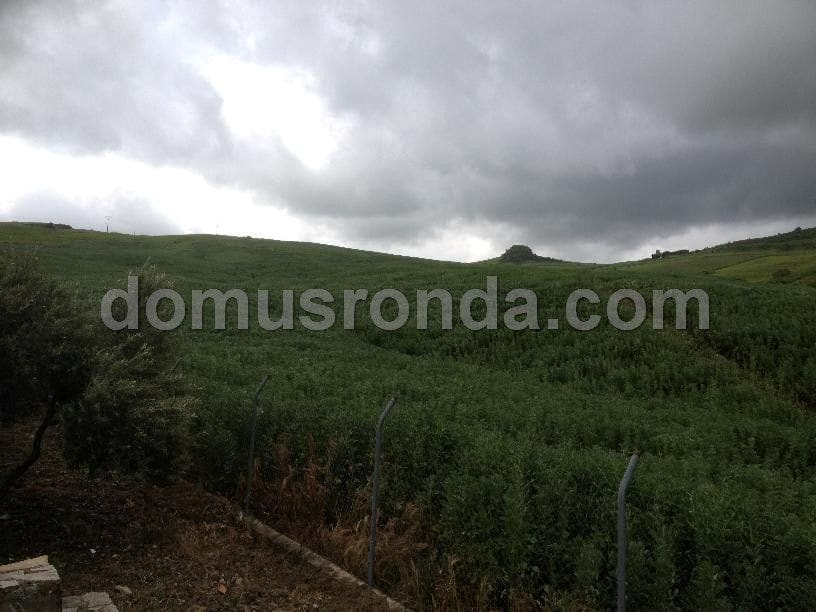 Villa til salg i Ronda - € 270.000 (Ref: 6758154)