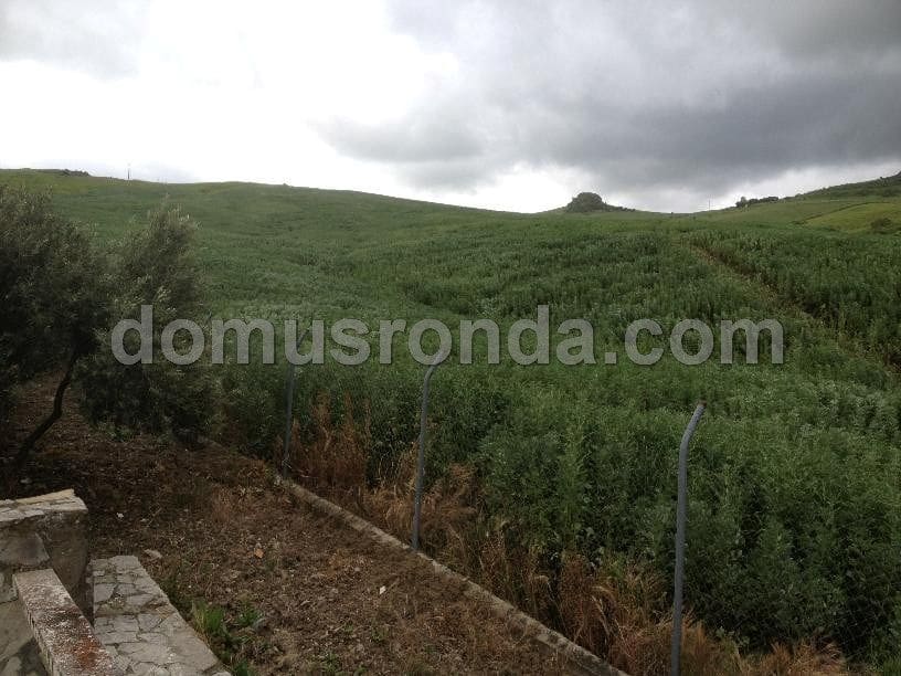 Villa til salg i Ronda - € 270.000 (Ref: 6758154)