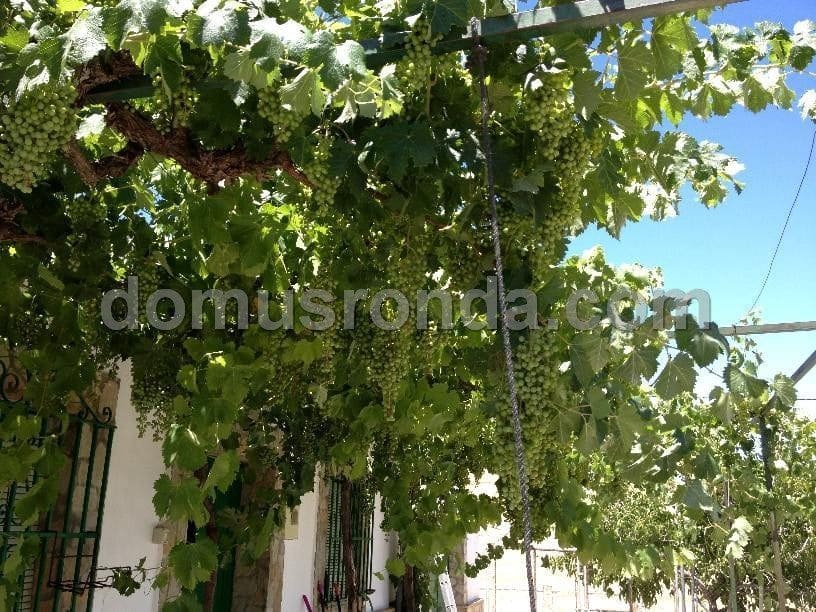 Villa til salg i Ronda - € 270.000 (Ref: 6758154)