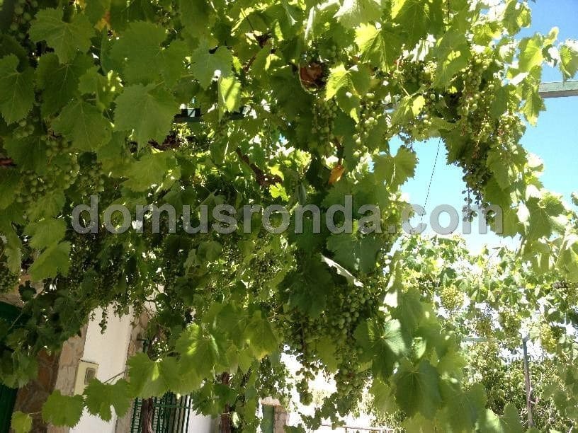 Villa til salg i Ronda - € 270.000 (Ref: 6758154)