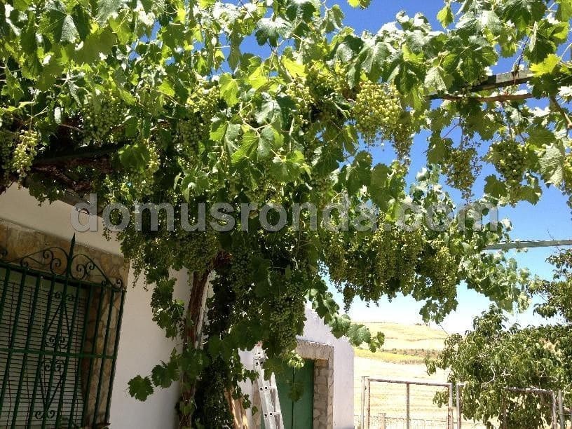 Villa til salg i Ronda - € 270.000 (Ref: 6758154)
