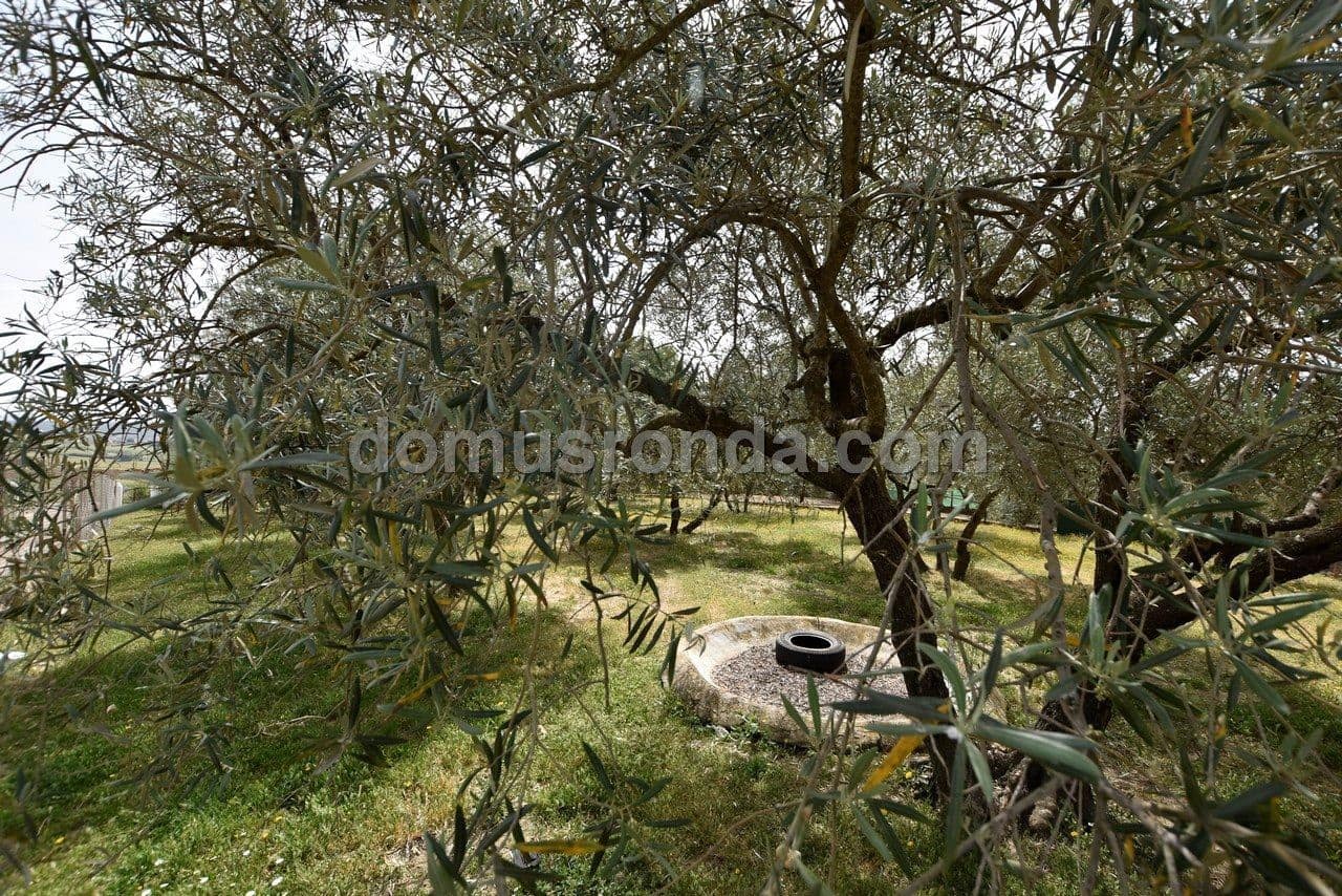 4 soveværelse Villa til salg i Ronda med swimmingpool - € 225.000 (Ref: 6859634)