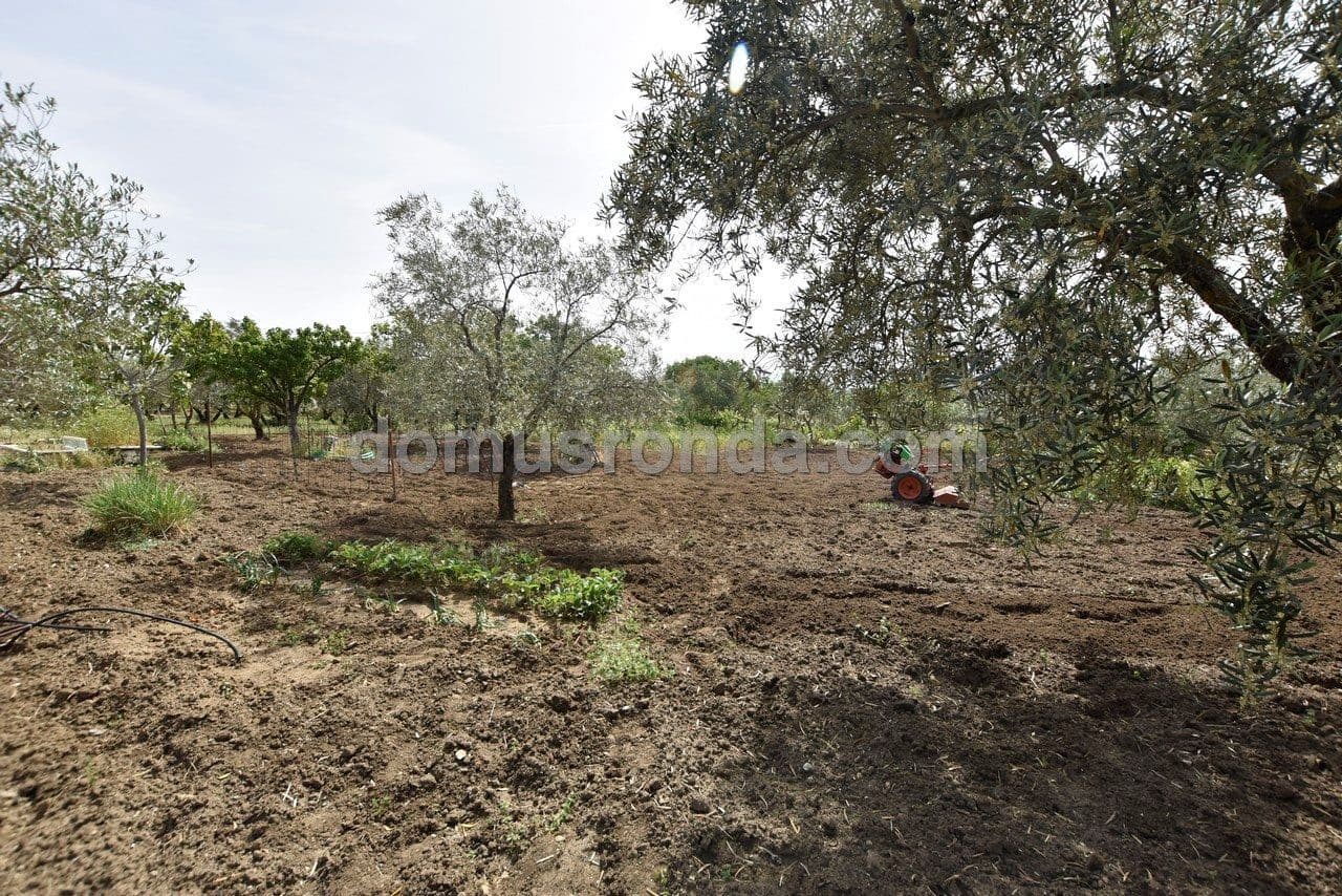 4 soveværelse Villa til salg i Ronda med swimmingpool - € 225.000 (Ref: 6859634)