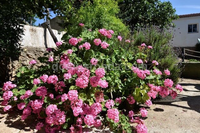 3 Zimmer Villa zu vermieten in Ronda mit Pool Garage - 1.200 € (Ref: 6876559)