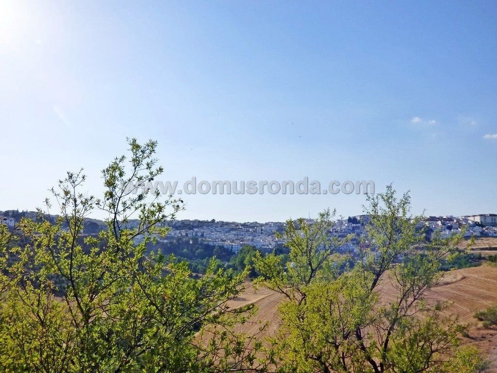 Finka/Dom wiejski na sprzedaż w Ronda - 750 000 € (Ref: 7829202)