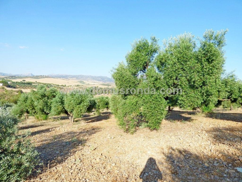 Finka/Dom wiejski na sprzedaż w Ronda - 750 000 € (Ref: 7829202)