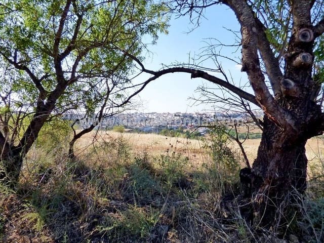 Finca/Landehus til salg i Ronda - € 750.000 (Ref: 7829202)