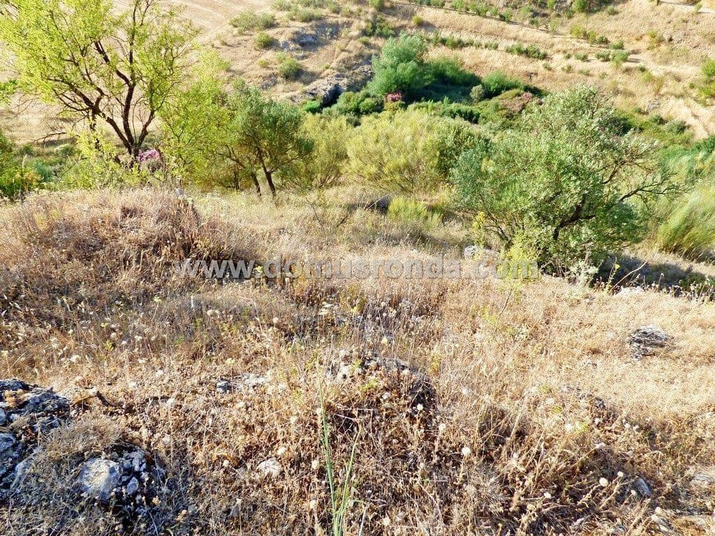 Finka/Dom wiejski na sprzedaż w Ronda - 750 000 € (Ref: 7829202)